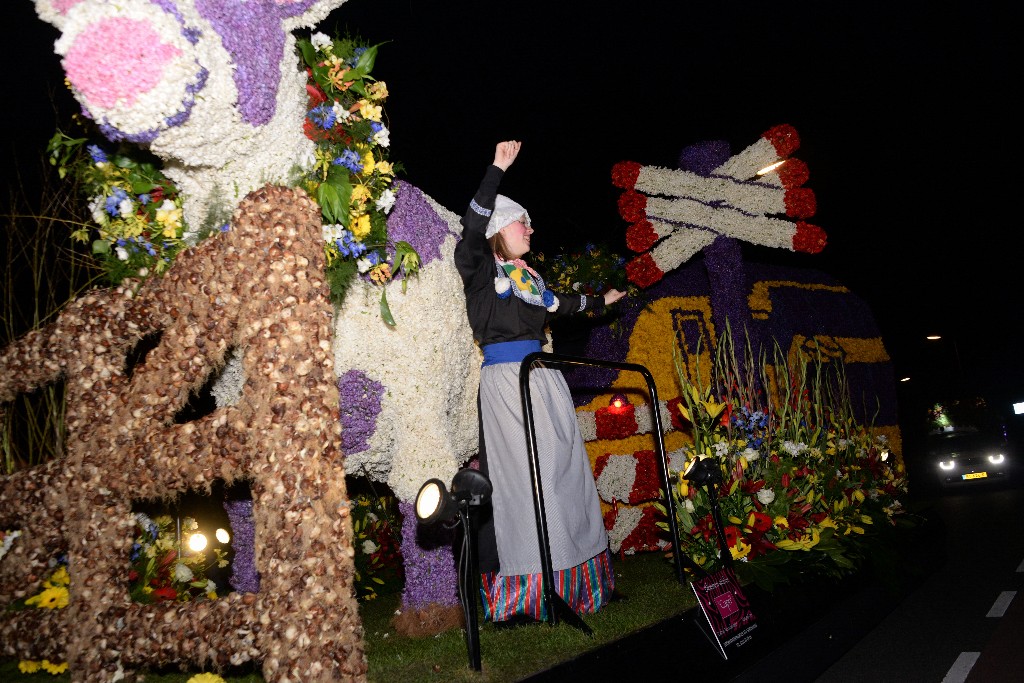 ../Images/Verlicht bloemencorso 2018 069.jpg